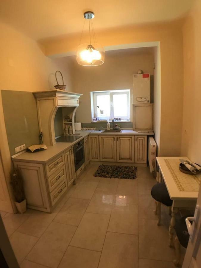 Apartment Vintige كلوج-نابوكا المظهر الخارجي الصورة
