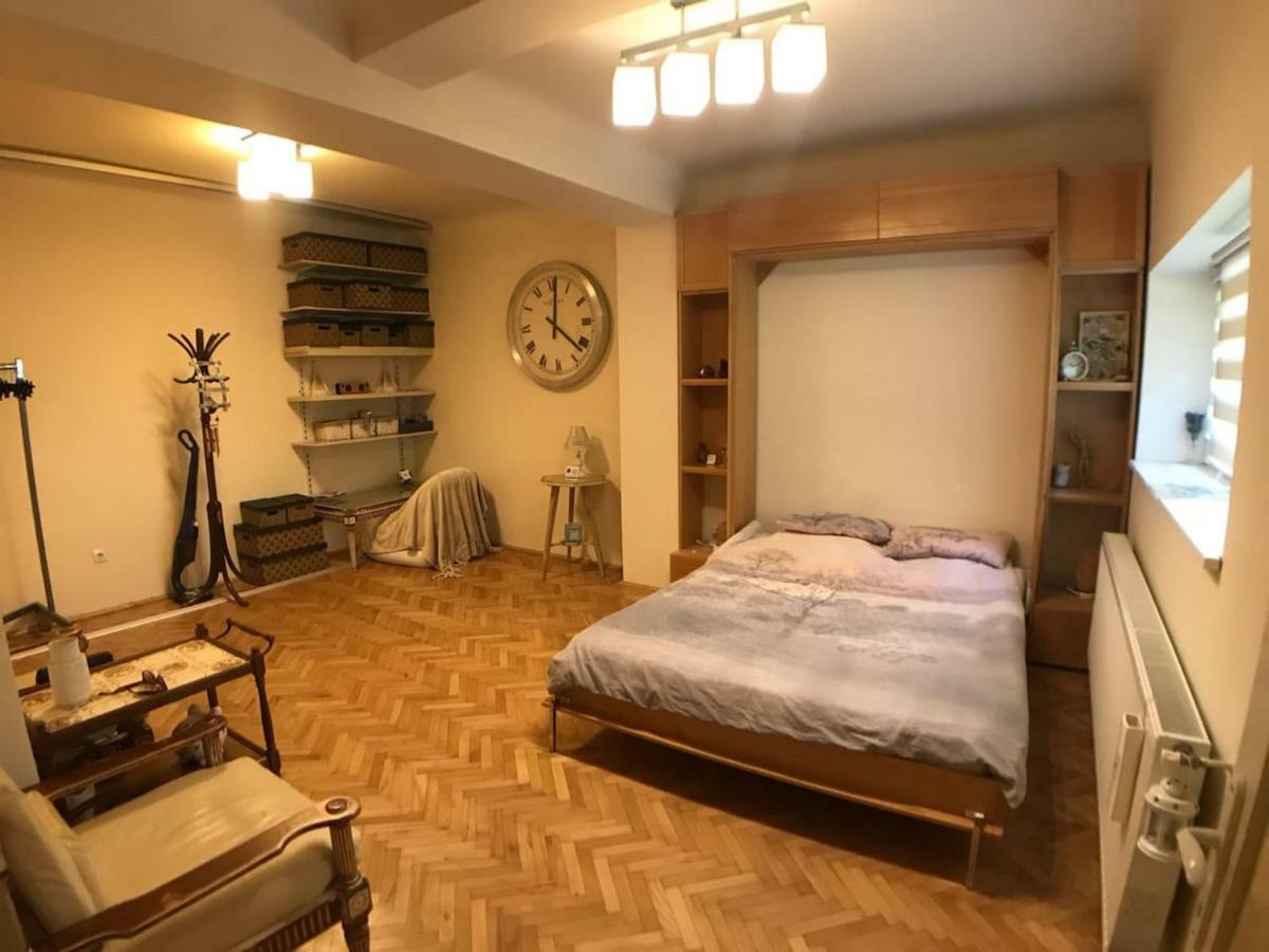 Apartment Vintige كلوج-نابوكا المظهر الخارجي الصورة