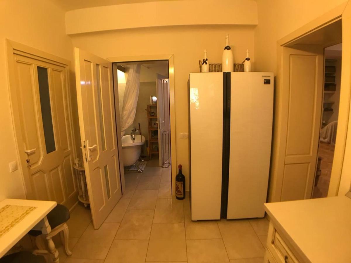 Apartment Vintige كلوج-نابوكا المظهر الخارجي الصورة