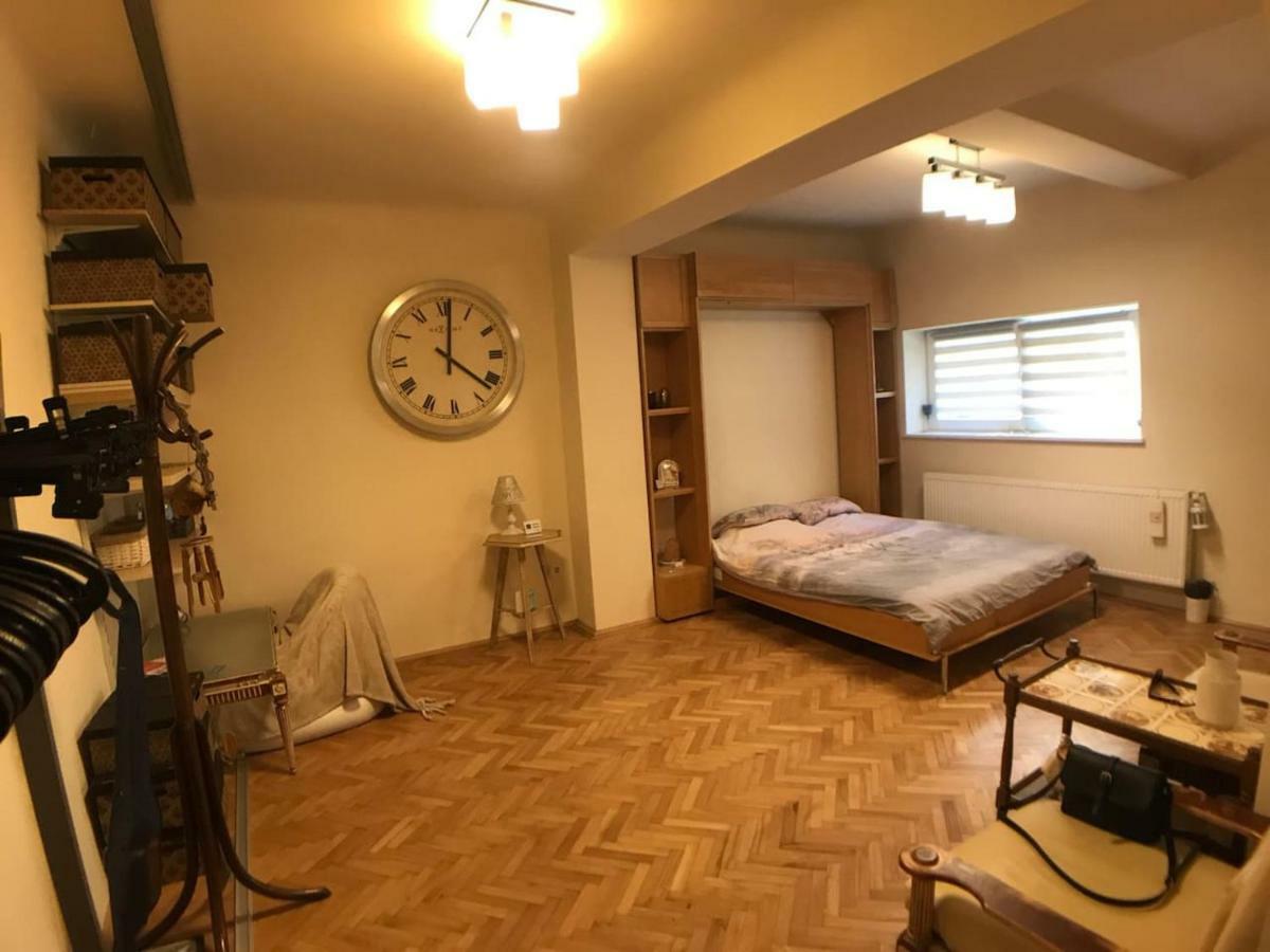Apartment Vintige كلوج-نابوكا المظهر الخارجي الصورة